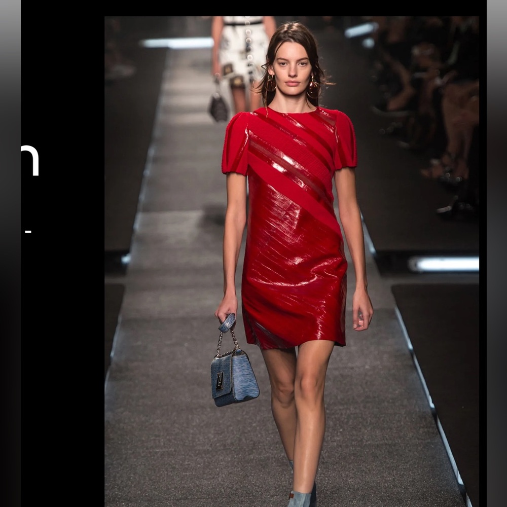 Louis Vuitton Spring 2015 Runway Eel Skin Dress VERY RARE